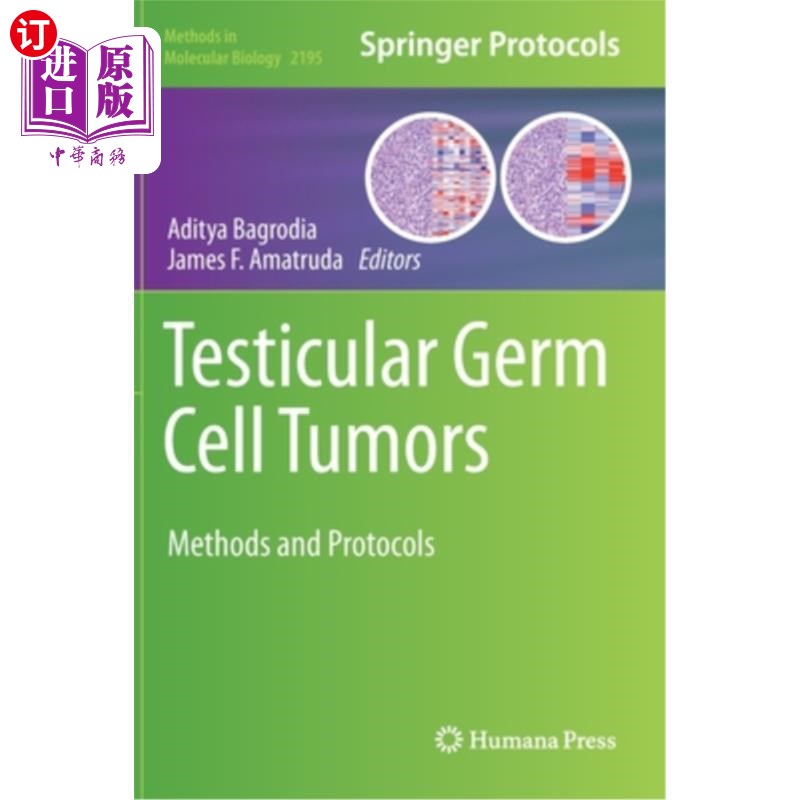 海外直订Testicular Germ Cell Tumors: Methods and Protocols 睾丸生殖细胞肿瘤:方法与规程