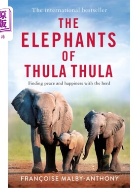 海外直订Elephants of Thula Thula 苏拉苏拉的大象