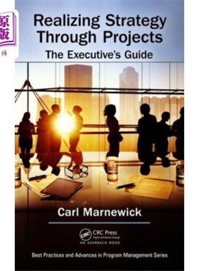 海外直订Realizing Strategy through Projects: The Executi... 通过项目实现战略:高管指南