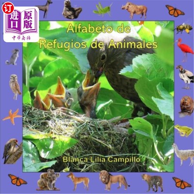 海外直订El Alfabeto de Refugios de Animales: ABC book 动物避难所：ABC图书