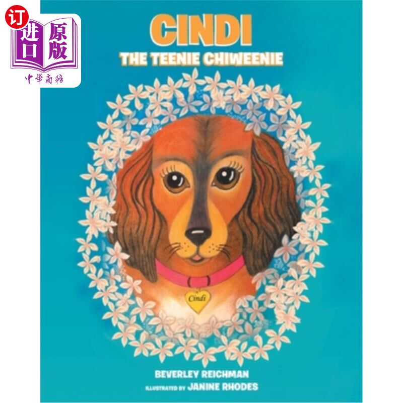 海外直订Cindi the Teenie Chiweenie 辛迪，小女孩
