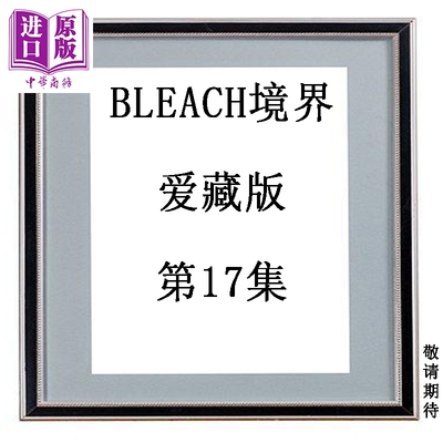 预售 漫画 BLEACH境界 爱藏版 第17集 久保帯人 台版漫画书 东立出版【中商原版】