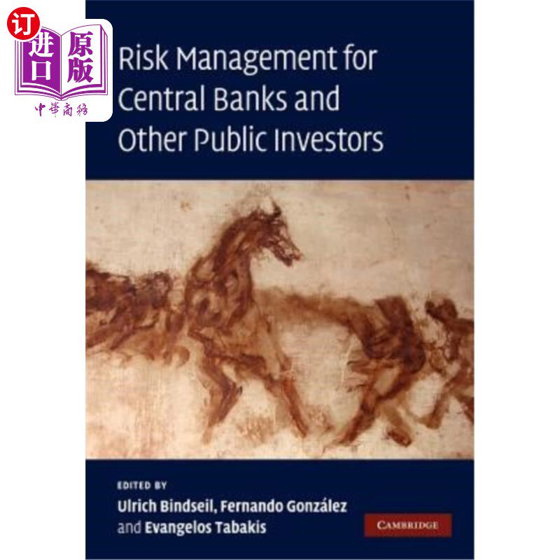 海外直订Risk Management for Central Banks and Other Public Investors 中央银行和其他公众投资者的风险管理