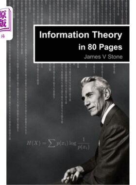 海外直订Information Theory in 80 Pages 《80页情报论