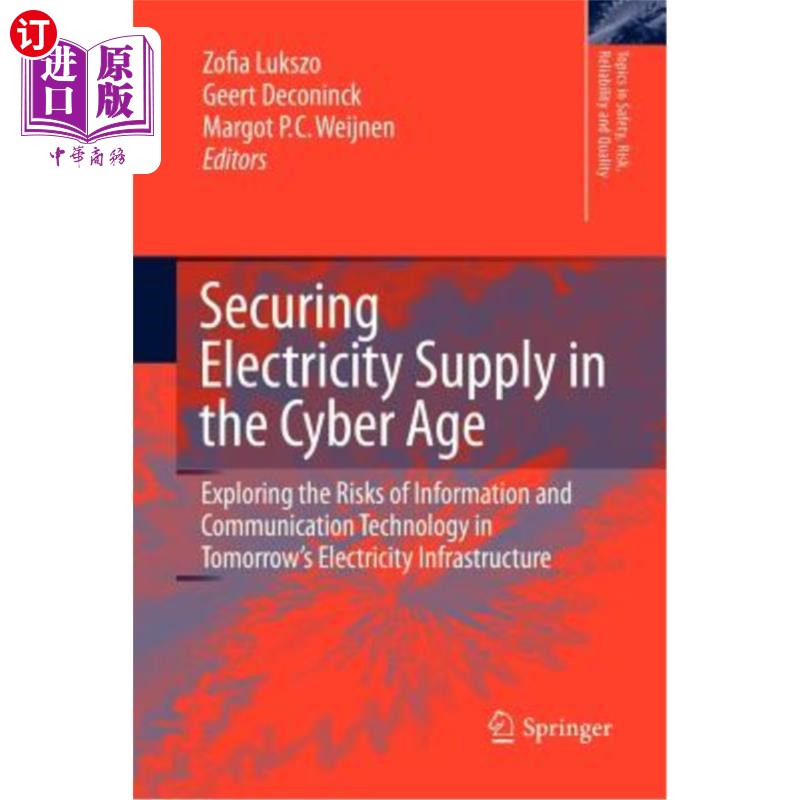 海外直订Securing Electricity Supply in the Cyber Age: Exploring the Risks of Information 确保时代的电力供应:探