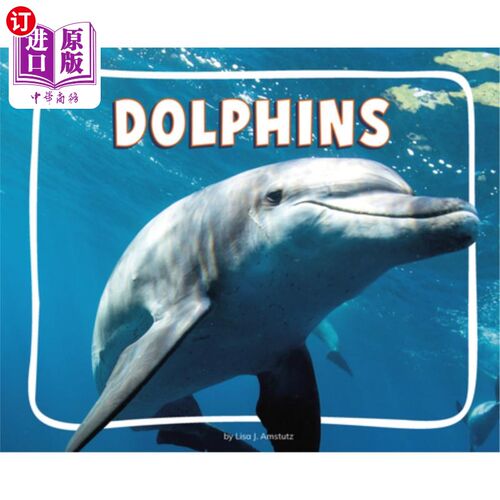 海外直订Dolphins 海豚