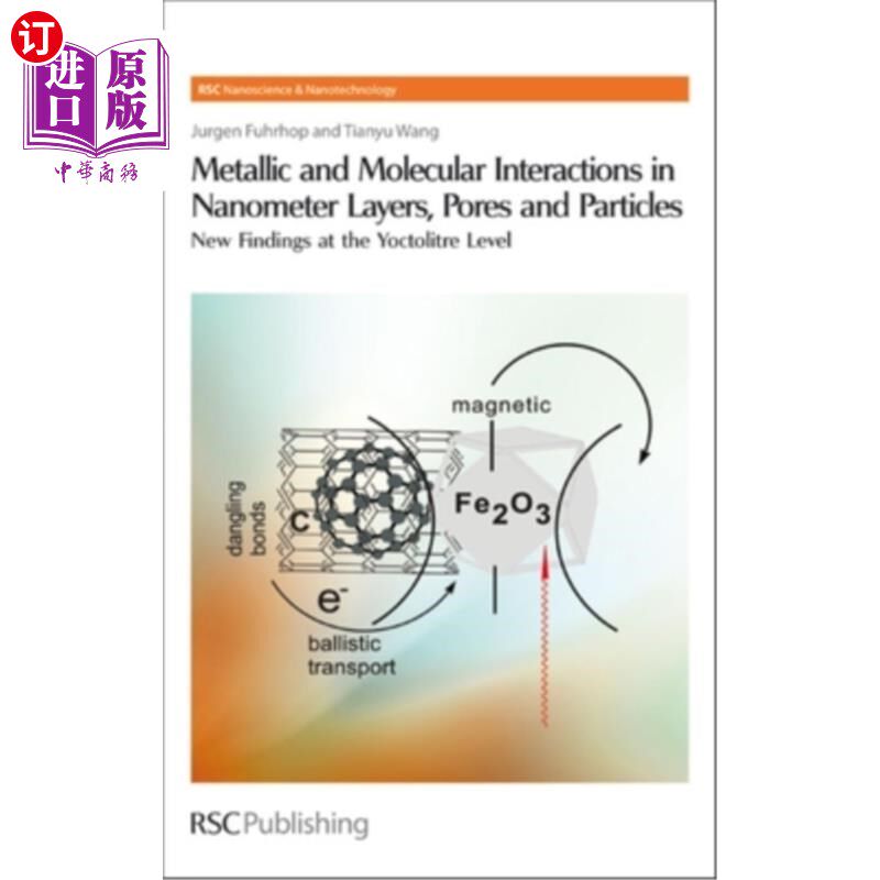 海外直订Metallic and Molecular Interactions in Nanometer Layers, Pores and Particles: Ne 纳米层、孔和粒子中的金属和