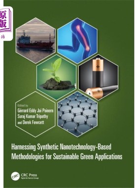海外直订Harnessing Synthetic Nanotechnology-Based Method... 利用基于合成纳米技术的方法实现可持续的绿色应用