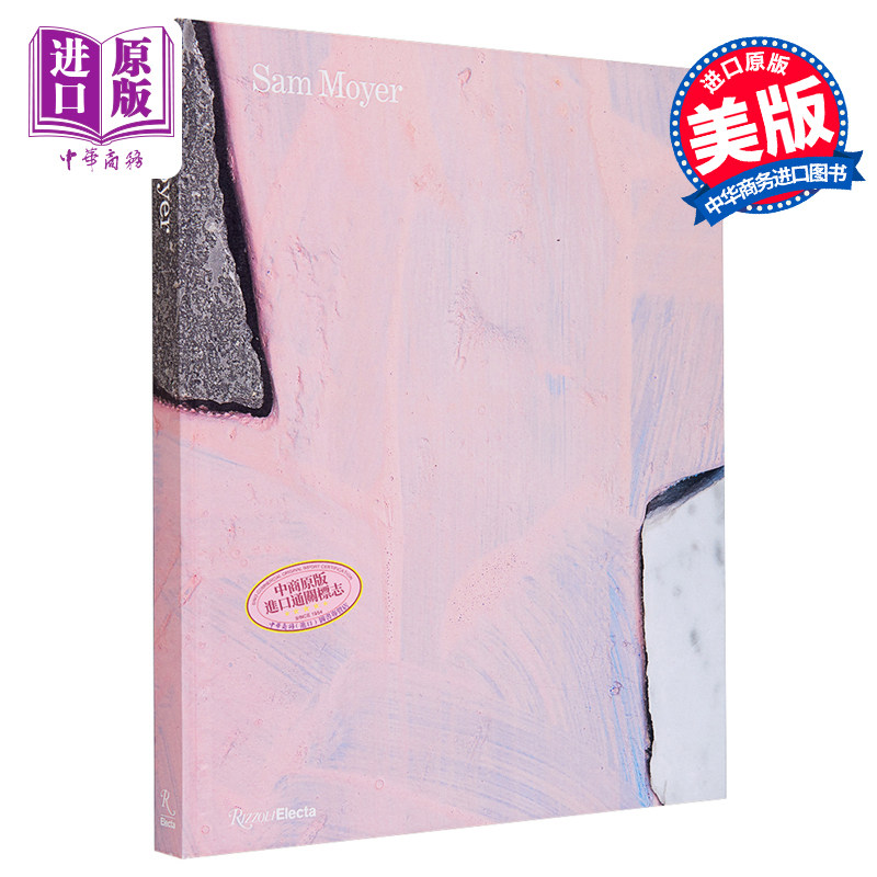 美国装置艺术家Sam Moyer Sam Moyer 进口艺术 山姆莫耶 Rizzoli【中商原版】