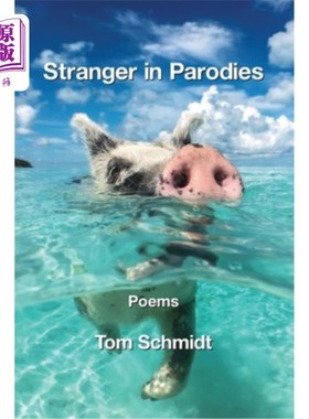 海外直订Stranger in Parodies 恶搞中的陌生人