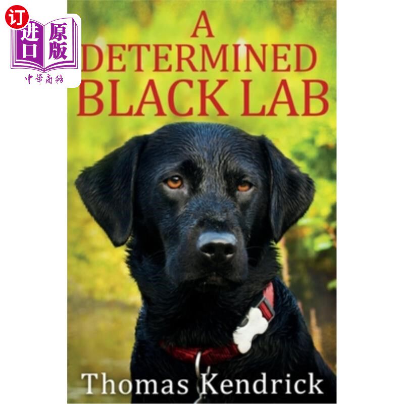 海外直订A Determined Black Lab 坚定的黑色实验室