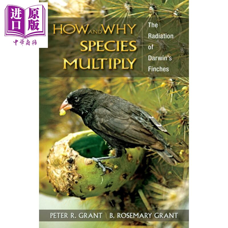 预售 物种增加因素与方法 达尔文雀的放射 进化生物学普林斯顿系列 How and Why Species Multiply Peter R Grant【中商原版】