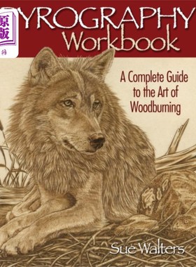 海外直订Pyrography Workbook 烙画工作簿