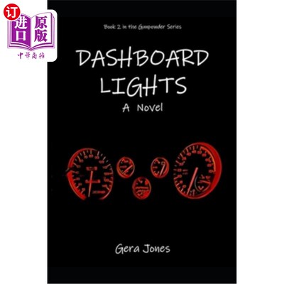 海外直订Dashboard Lights 仪表板灯