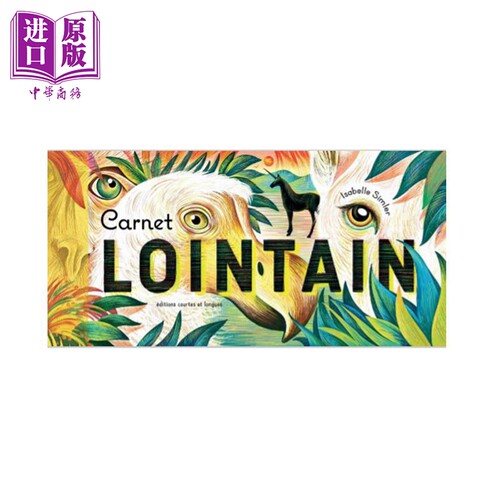 【法文版】远方 色彩诗人Walid Taher绘 Carnet lointain 法文原版 绘本与绘本小说【中商原版】