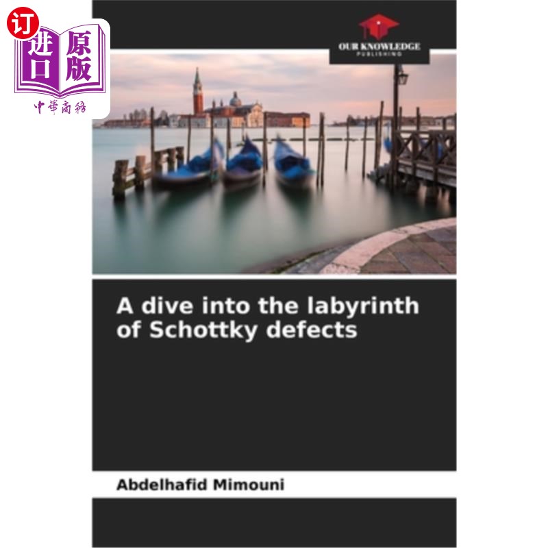 海外直订A dive into the labyrinth of Schottky defects 潜入肖特基缺陷的迷宫