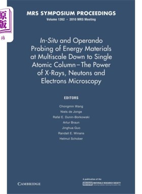海外直订In-Situ and Operando Probing of Energy Materials... 原位和操作探测能源材料在多尺度下到单原子柱- x射线的力量