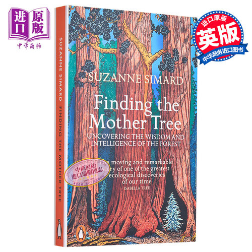 寻访母树 苏珊妮西马德回忆录 寻找母树 揭开森林的智慧与智慧 英文原版 Finding the Mother Tree Suzanne Simard【中商原版