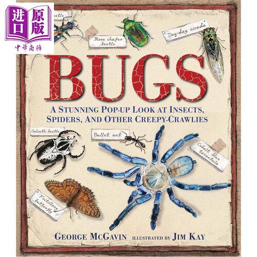 昆虫 惊人的爬行动物立体书 英文原版 Bugs A Stunning Pop up Look at Insects Spiders McGavin【中商原版】