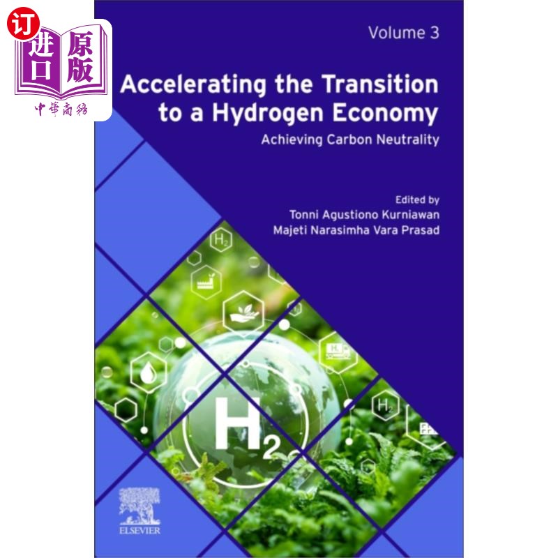 海外直订Accelerating the Transition to a Hydrogen Economy 向氢经济过渡