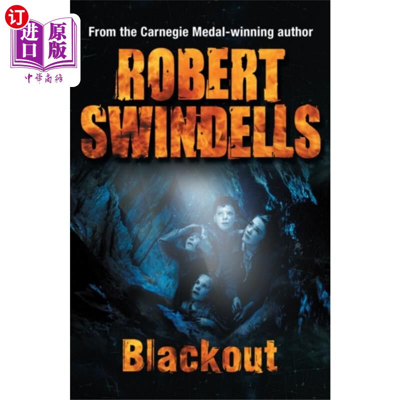 海外直订Blackout 停电