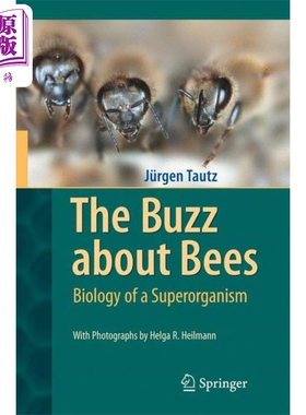 现货 关于蜜蜂的嗡嗡声 英文原版 The Buzz about Bees Jurgen Tautz【中商原版】