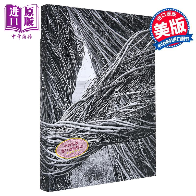 Patrick Dougherty James Florio 进口艺术 帕特里克 多尔蒂雕塑项目【中商原版】