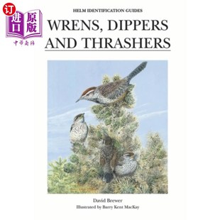 海外直订Wrens, Dippers and Thrashers 鹪鹩、鹬和鸫鸟