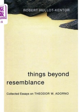 海外直订Things Beyond Resemblance 超越相似之处