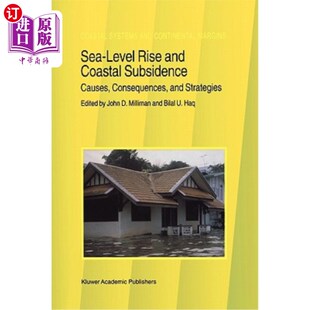 海平面上升与海岸沉降 后果与对 and Causes Consequences Subsidence Rise Coastal 原因 海外直订Sea Strategies Level