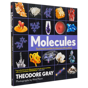 【中商原版】分子 一切的要素和架构MoleculesTheElements and the Architecture of Everything英文原版 TheodoreGray 化学