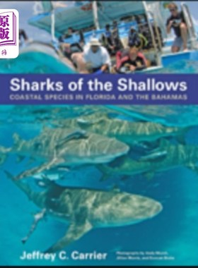 海外直订Sharks of the Shallows 浅水区的鲨鱼