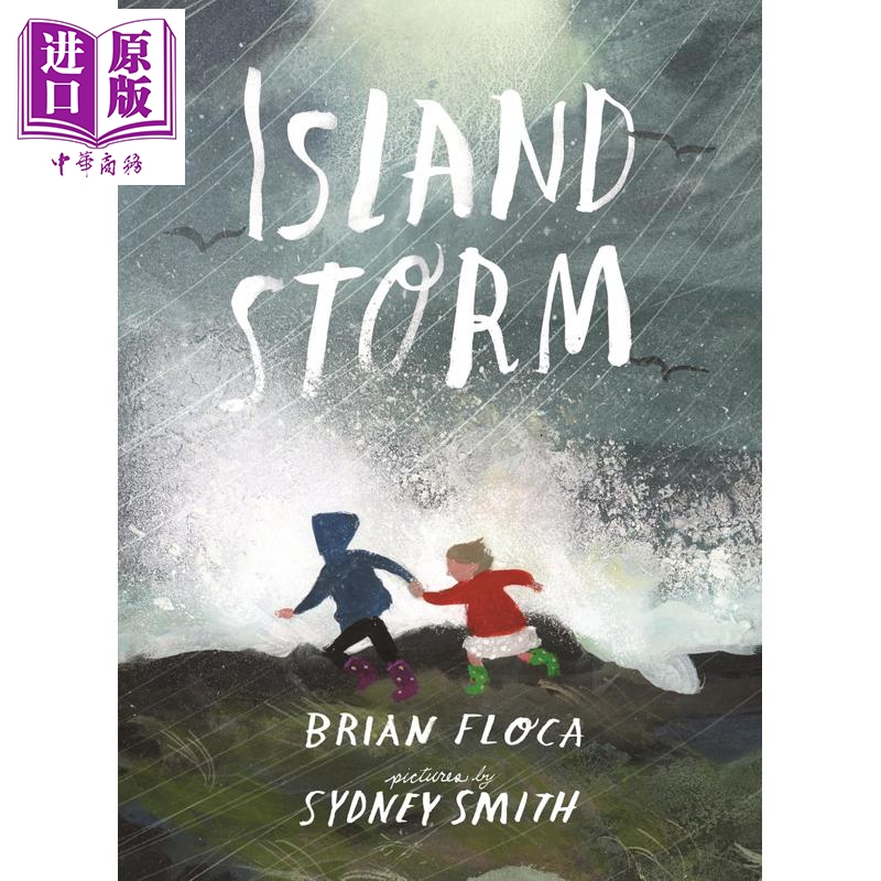 小岛风暴IslandStorm