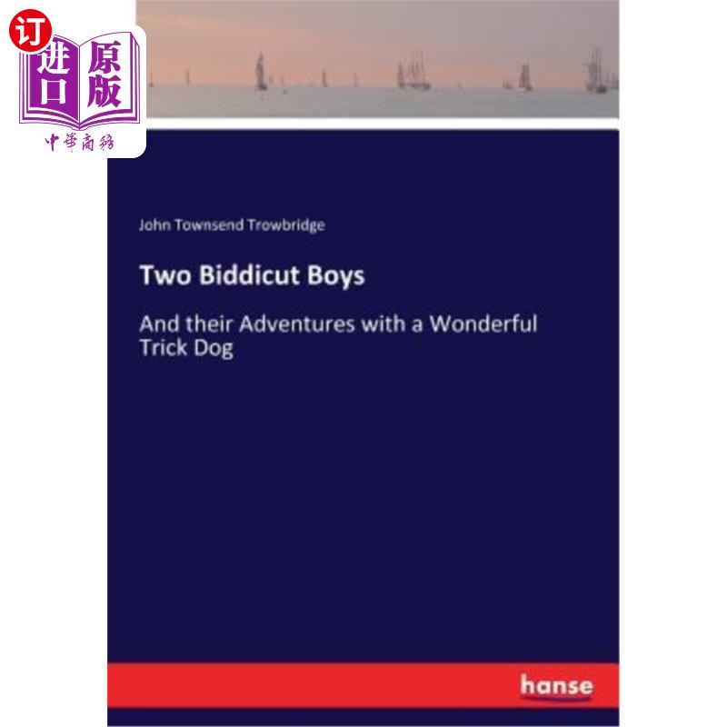 海外直订Two Biddicut Boys 两个毕迪科男孩