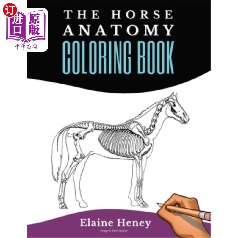 海外直订Horse Anatomy Coloring Book For Adults - Self Assessment Equine Coloring Workboo 马解剖着色书成人-自我评估
