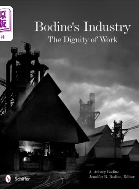 海外直订Bodine's Industry 波定的行业