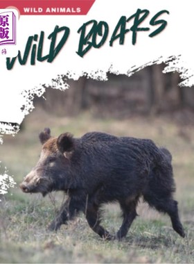 海外直订Wild Boars 野猪