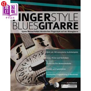 指弹蓝调 Bluesgitarre 海外直订德语 Fingerstyle