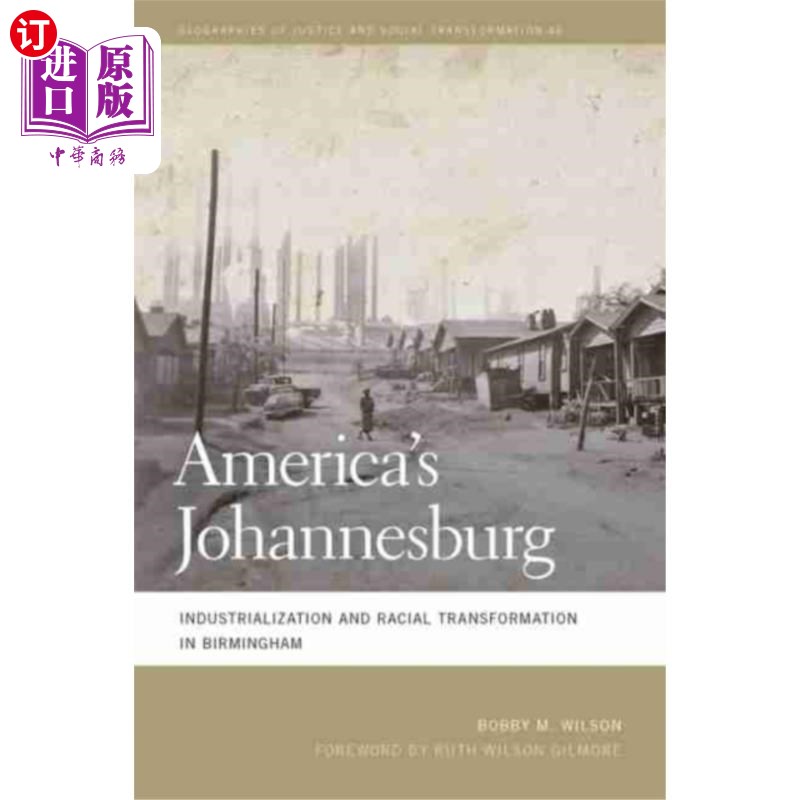 海外直订America's Johannesburg 美国的约翰内斯堡