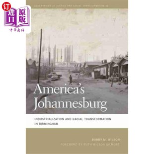 海外直订America's Johannesburg 美国的约翰内斯堡