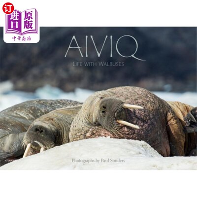 海外直订Aiviq: Life with Walruses 艾维克:海象生活