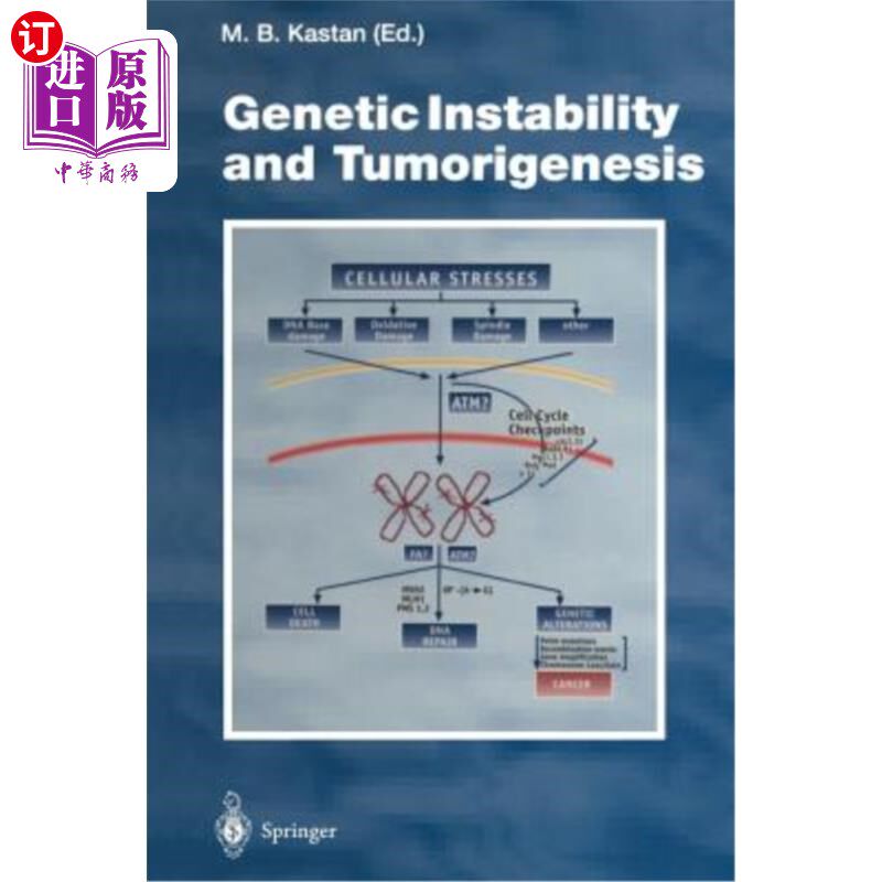 海外直订Genetic Instability and Tumorigenesis 遗传不稳定性与肿瘤发生