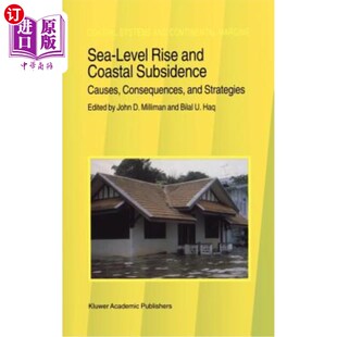 海平面上升与海岸沉降 后果与对 and Causes Consequences Subsidence Rise Coastal 原因 海外直订Sea Strategies Level