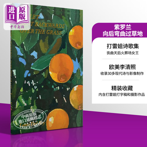 打雷姐诗集LanaDelRey英文原版