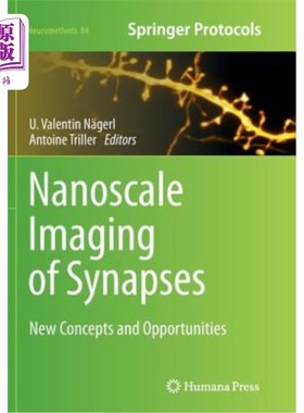 海外直订医药图书Nanoscale Imaging of Synapses: New Concepts and Opportunities 突触的纳米尺度成像:新概念和新机遇