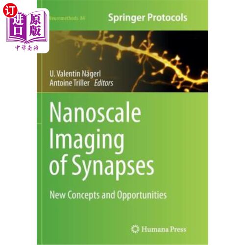 海外直订医药图书Nanoscale Imaging of Synapses: New Concepts and Opportunities 突触的纳米尺度成像:新概念和新机遇