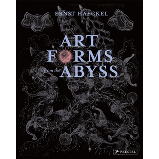 现货 Art Forms from the Abyss 进口艺术 来自深渊的艺术【中商原版】