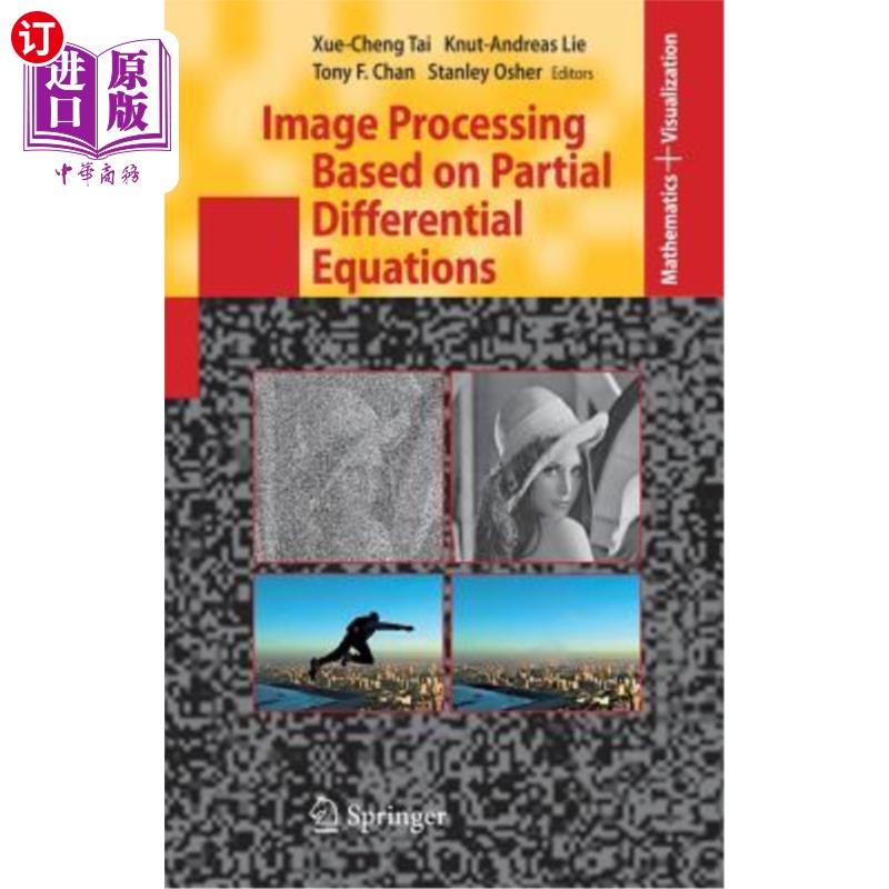 海外直订Image Processing Based on Partial Differential Equations: Proceedings of the Int 基于偏微分方程的图像处理：