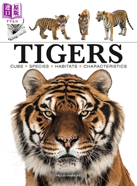 迷你百科系列 老虎 Tigers 英文原版  Paula Hammond 老虎科普 照片集 大型猫科动物【中商原版】