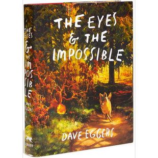 英文原版2024年凯迪克纽伯瑞获奖绘本合集 The Eyes and the Impossible Big Mexikid Elf Dog and Owl Head【中商原版】